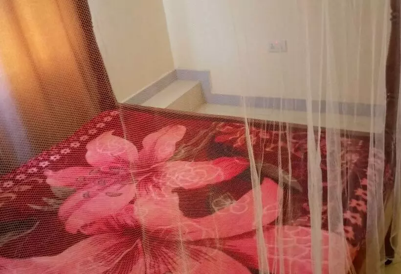 پانسیون Jaeli Guest House