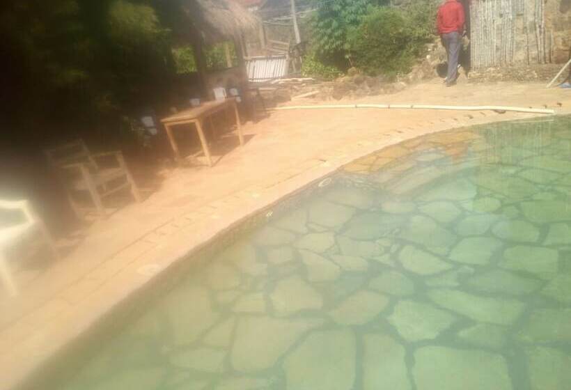 پانسیون Roots Resort