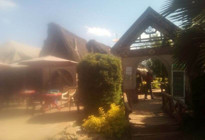 پانسیون Roots Resort