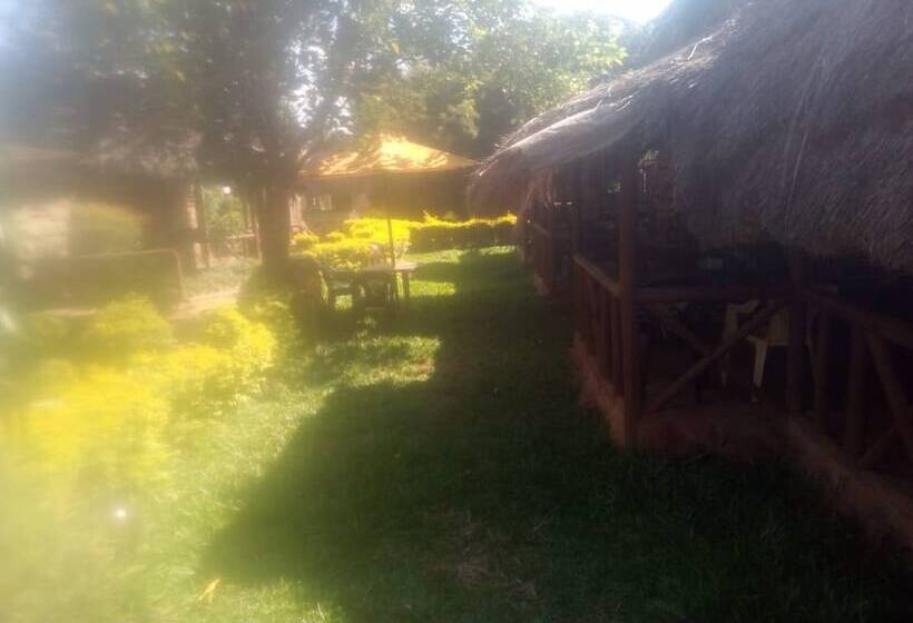 پانسیون Roots Resort