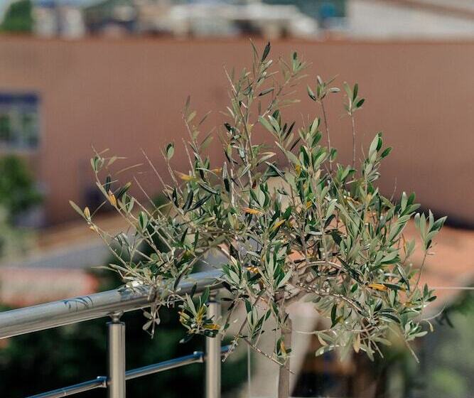 펜션 Sea View Studio With A Barbecue Area On The Terrace Of The Building A Smart Tv
