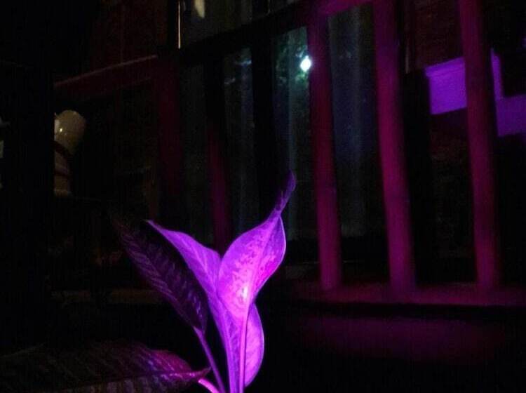 Premiere Haven Hostel Siargao