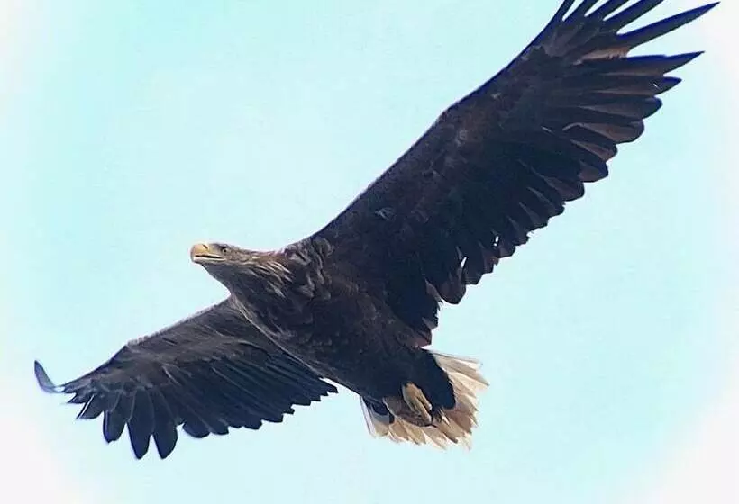 Lomakeskus Sjøstrand Rorbuer V Børge Iversen As