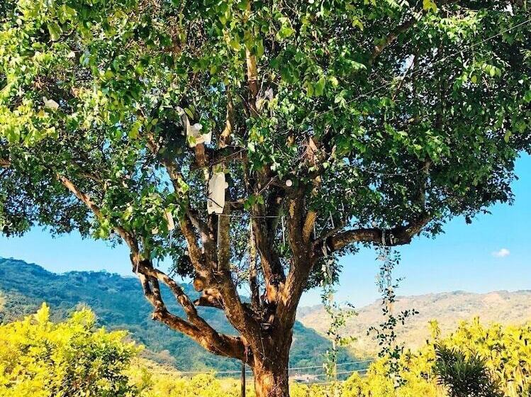 تختخواب و صبحانه Dayastar