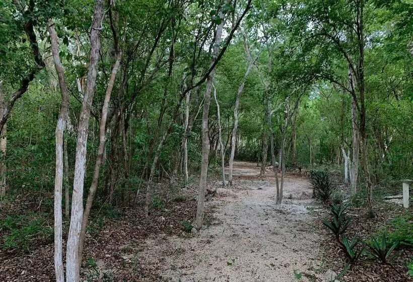 Aamiaismajoitus (B&B) El Encanto Hotel Boutique & Spa