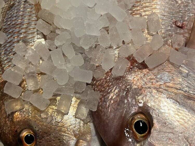 住宿加早餐  Mourayio Bed&breakfast