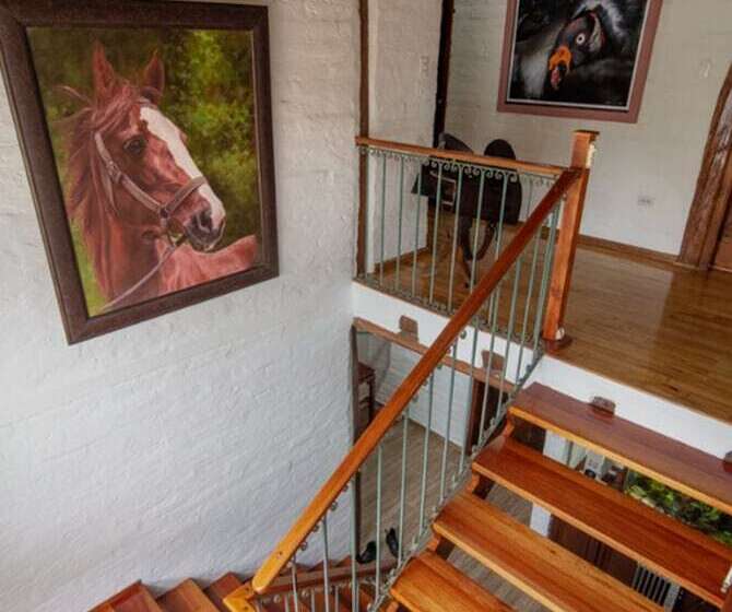 Bed & Breakfast Puembo Birding Garden   Bird Watchers And Nature Lovers