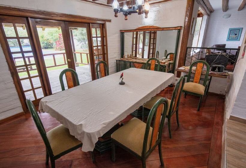 Bed & Breakfast Puembo Birding Garden   Bird Watchers And Nature Lovers