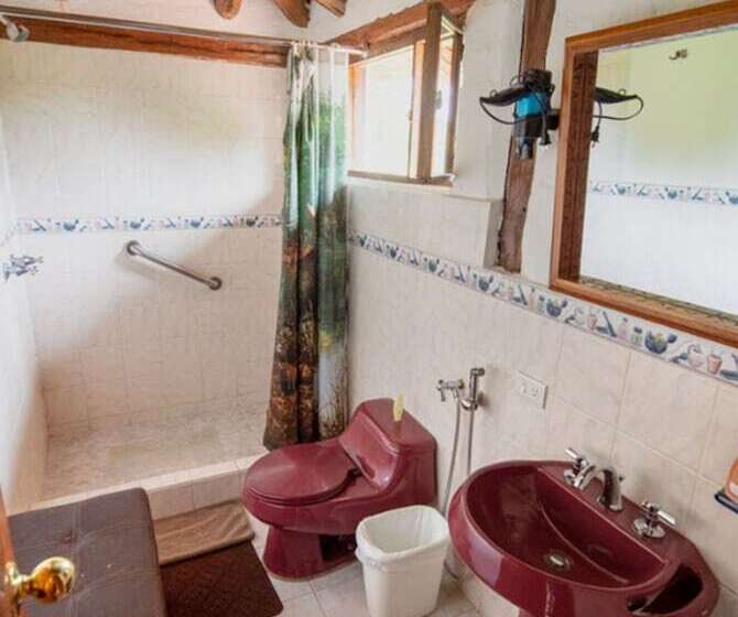 Bed & Breakfast Puembo Birding Garden   Bird Watchers And Nature Lovers