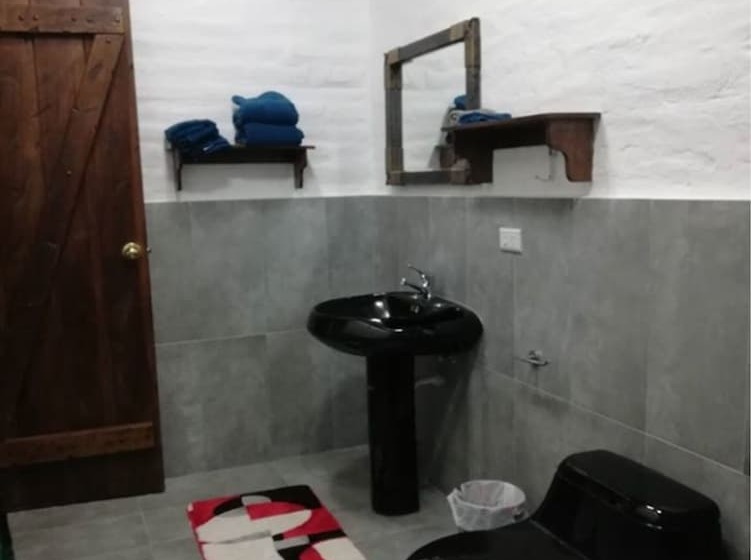 Bed & Breakfast Puembo Birding Garden   Bird Watchers And Nature Lovers