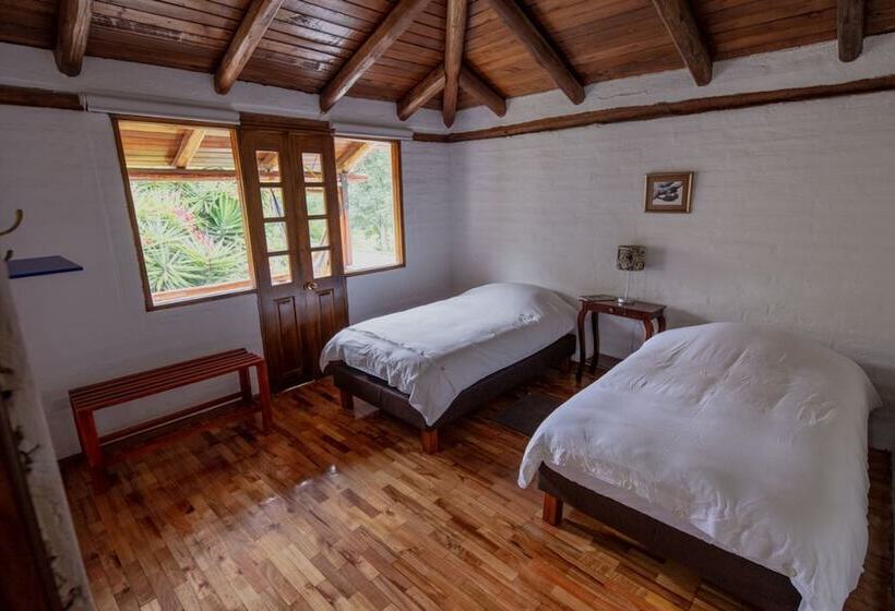 Bed & Breakfast Puembo Birding Garden   Bird Watchers And Nature Lovers