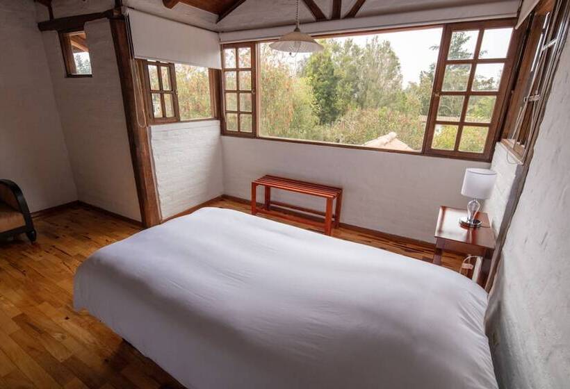 Bed & Breakfast Puembo Birding Garden   Bird Watchers And Nature Lovers