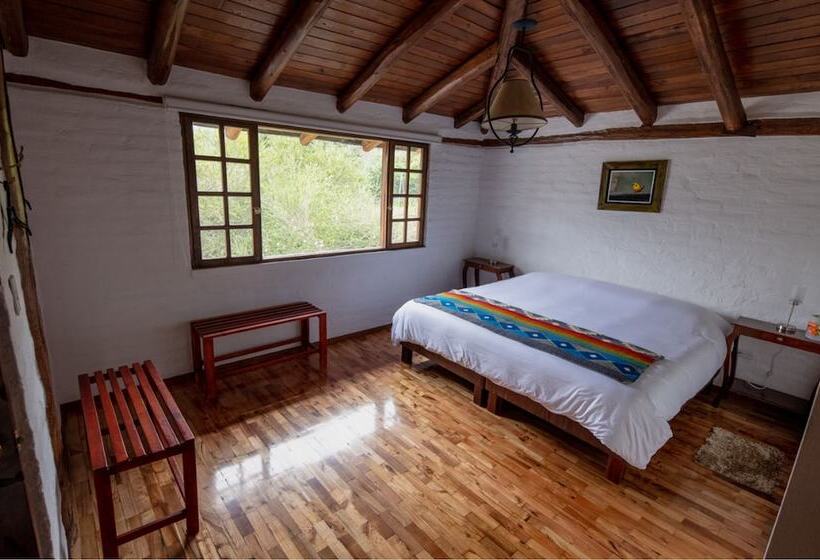 Bed & Breakfast Puembo Birding Garden   Bird Watchers And Nature Lovers