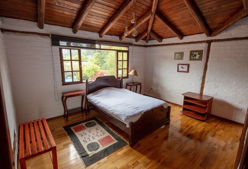 Bed & Breakfast Puembo Birding Garden   Bird Watchers And Nature Lovers