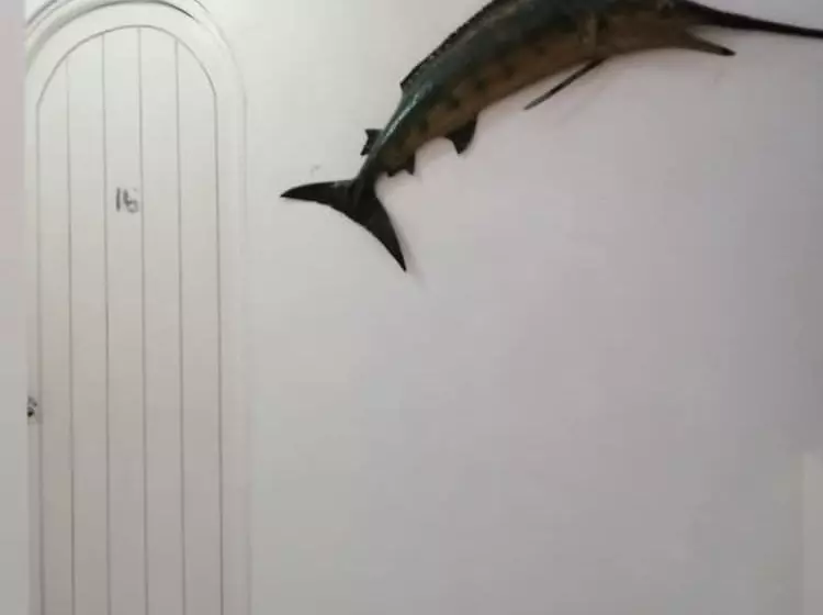 Hotelli Bungalows Spilberg