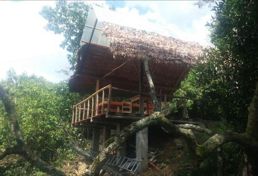 هتل El Jiri Ecolodge