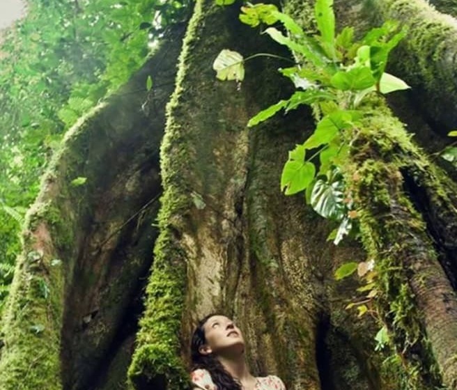 هتل El Jiri Ecolodge