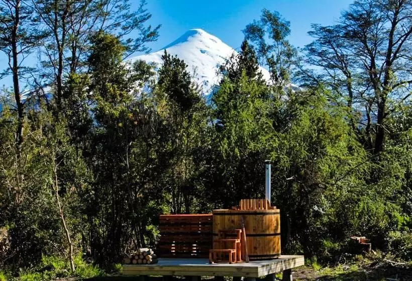 ホテル Entre Volcanes Lodge