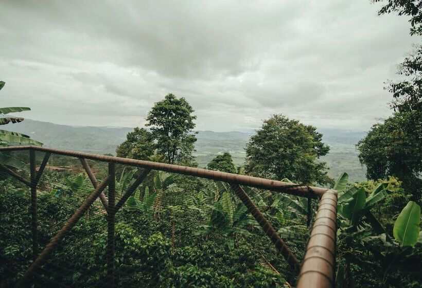 בית מלון כפרי La Cima Eco