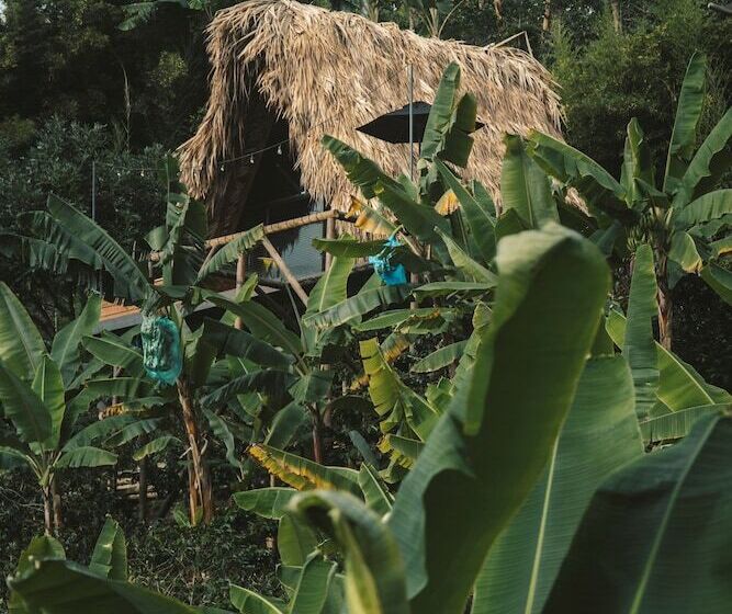 בית מלון כפרי La Cima Eco