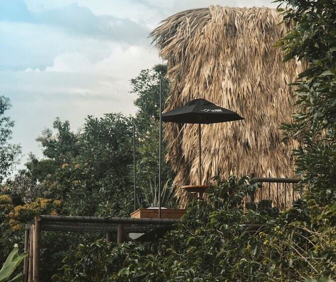 בית מלון כפרי La Cima Eco