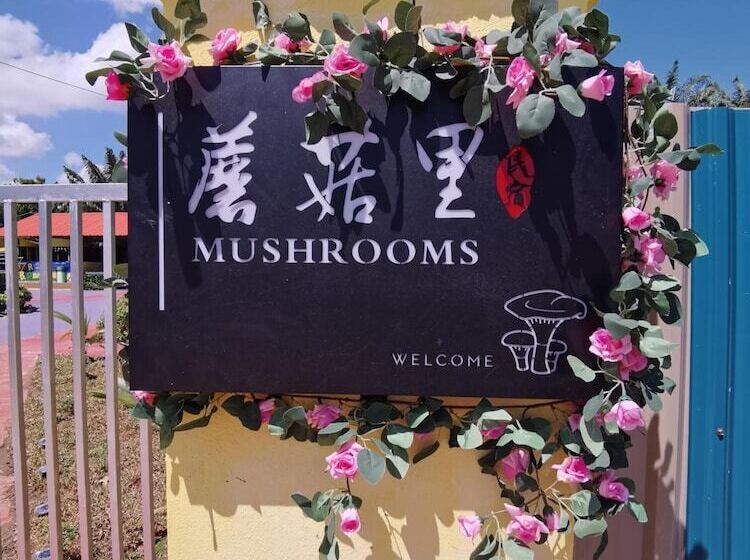 Отель Mushrooms Inn