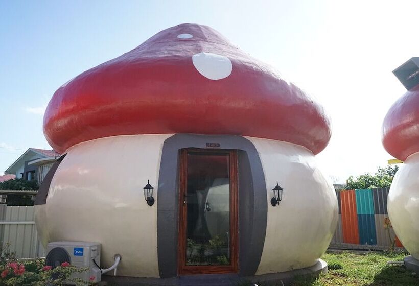 Отель Mushrooms Inn