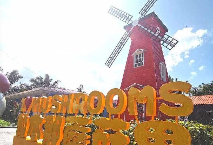 Отель Mushrooms Inn