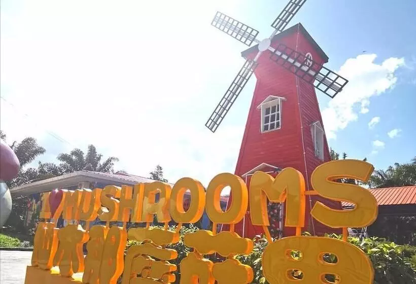 Hotelli Mushrooms Inn