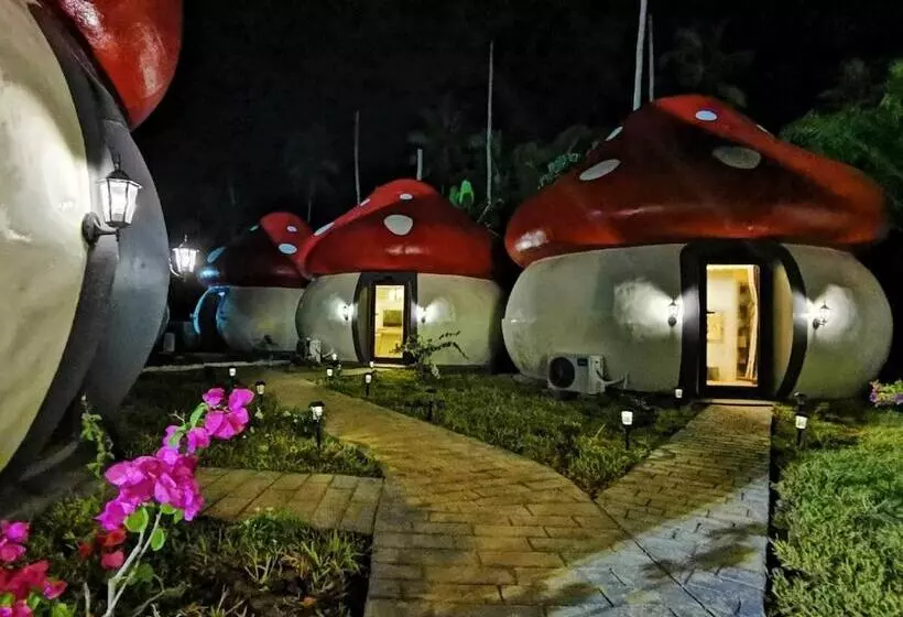 Hotelli Mushrooms Inn