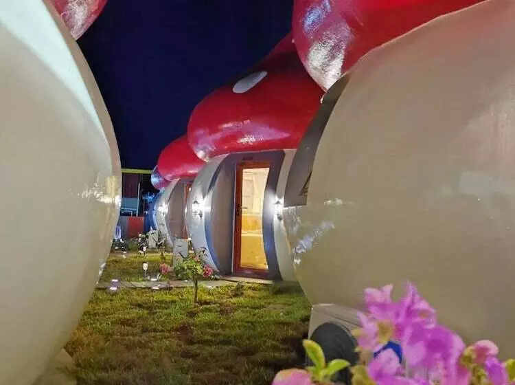 Hotelli Mushrooms Inn