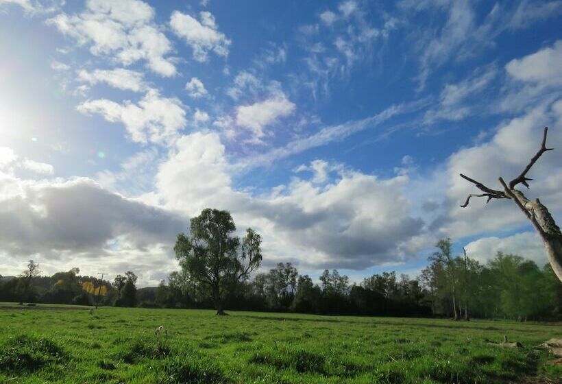 ホテル Quintre Lodge