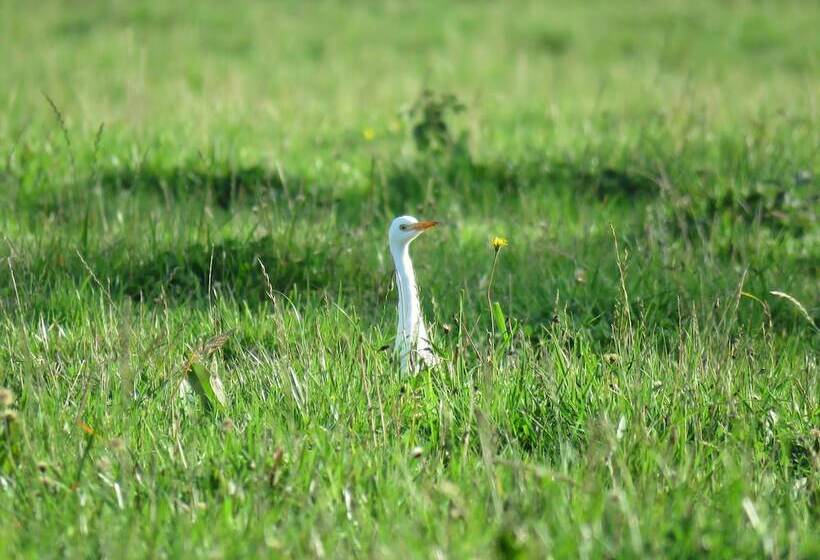 ホテル Quintre Lodge