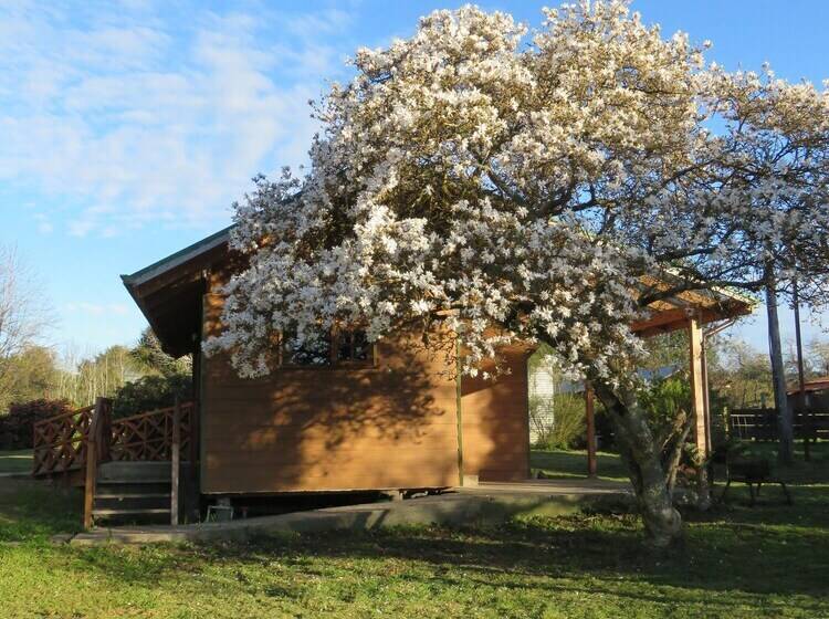 ホテル Quintre Lodge