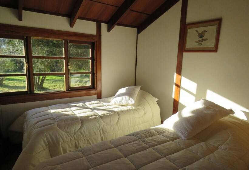 ホテル Quintre Lodge