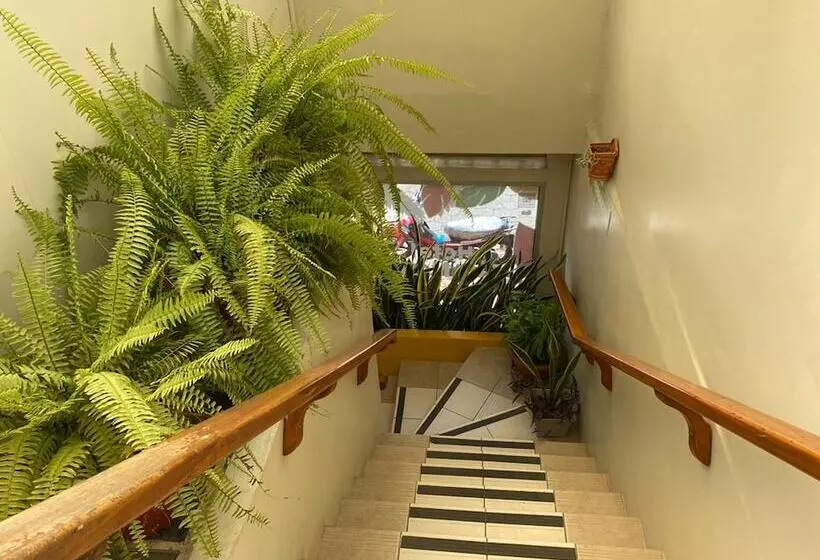 ホテル Rio Napo