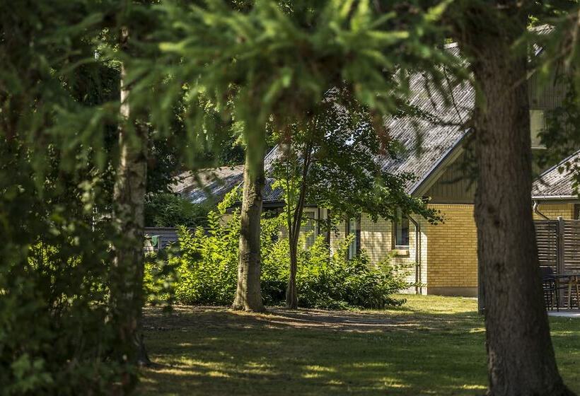 Pederstrup Bed And Breakfast