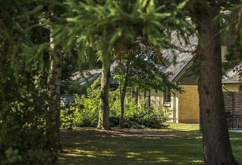 Pederstrup Bed And Breakfast