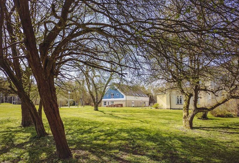 Pederstrup Bed And Breakfast