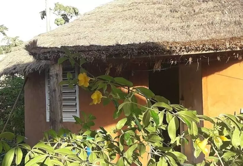 پانسیون Campement Baobab Chambres D Hotes 15mn De L Aeroport