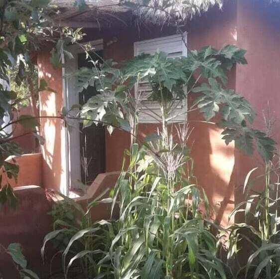 پانسیون Campement Baobab Chambres D Hotes 15mn De L Aeroport