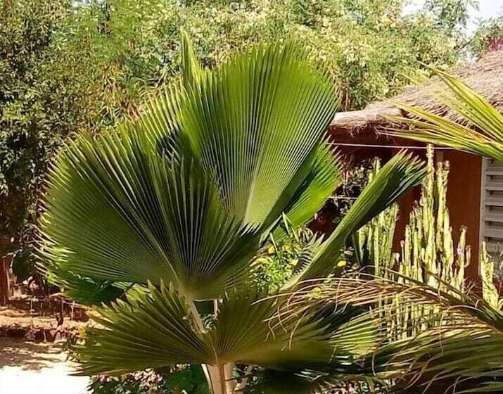 پانسیون Campement Baobab Chambres D Hotes 15mn De L Aeroport