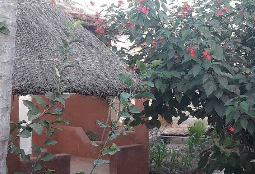 پانسیون Campement Baobab Chambres D Hotes 15mn De L Aeroport