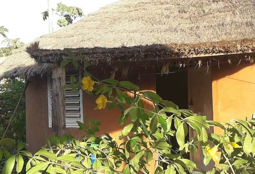 پانسیون Campement Baobab Chambres D Hotes 15mn De L Aeroport