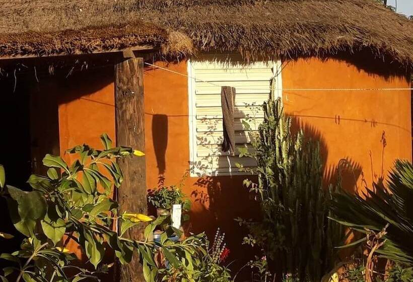 پانسیون Campement Baobab Chambres D Hotes 15mn De L Aeroport