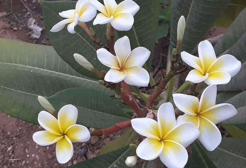پانسیون Campement Baobab Chambres D Hotes 15mn De L Aeroport