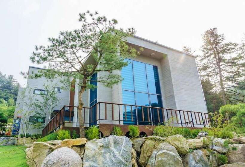 Pension (Hôtel basse catégorie) Gallery 774