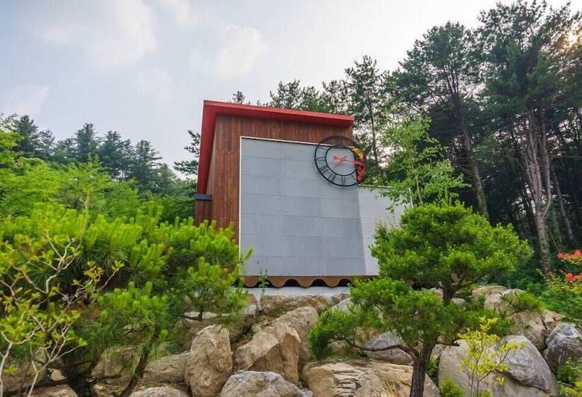 Pension (Hôtel basse catégorie) Gallery 774