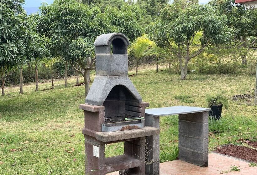 Pension Gîte Le Longane