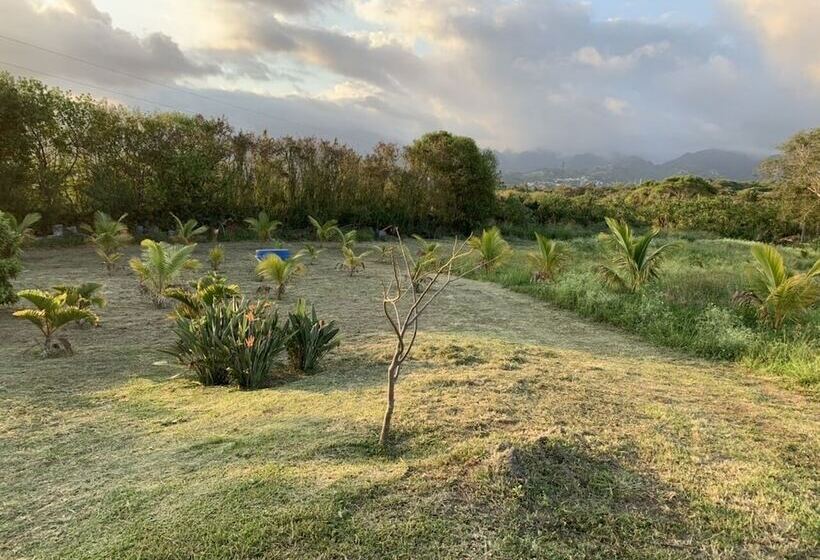 Pension Gîte Le Longane